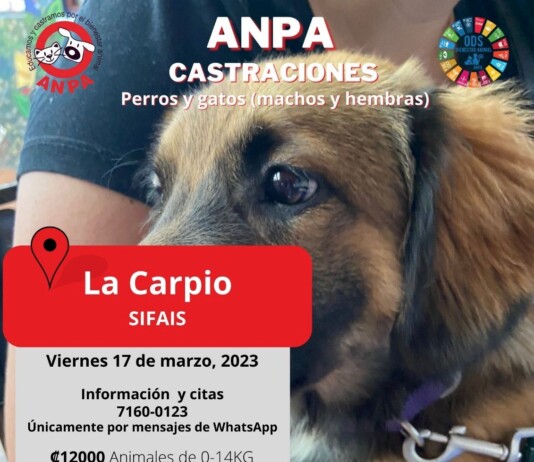Primera feria de Castración de perros y gatos del 2023