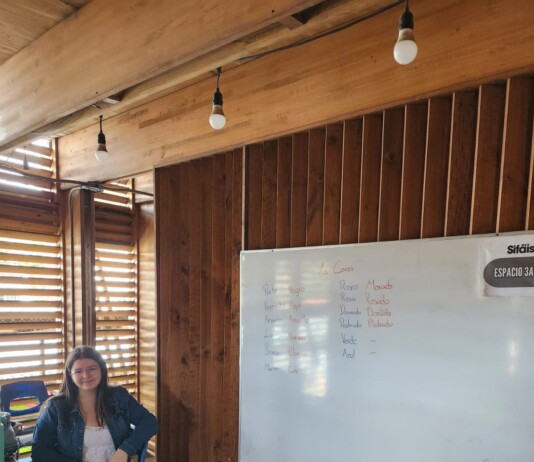 Taller de portugués básico y avanzado en SIFAIS