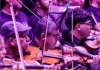Concierto 15 años Sifais: cinco panes y dos peces